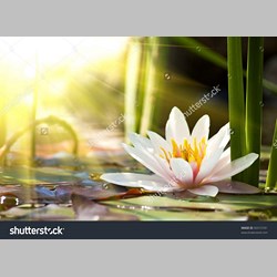 روانشناس در اسلامشهر کد 10167 سایز 4531 در 9921
