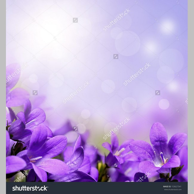 روانشناس در اسلامشهر کد 10176