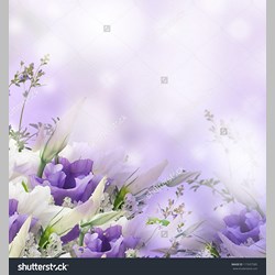 روانشناس در اسلامشهر کد 10199 سایز 5219 در 1667