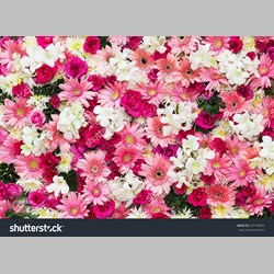 روانشناس در اسلامشهر کد 10225 سایز 33685 در 9332