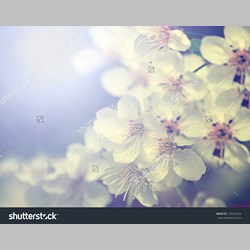 روانشناس در اسلامشهر کد 10234 سایز 11826 در 9332
