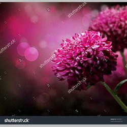 روانشناس در اسلامشهر کد 10310 سایز 30650 در 7761