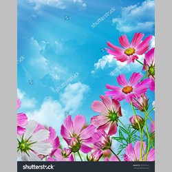 روانشناس در اسلامشهر کد 10321 سایز 68319 در 7227