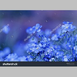 روانشناس در اسلامشهر کد 10387 سایز 20816 در 7220