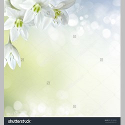 روانشناس در اسلامشهر کد 10428 سایز 54290 در 6197