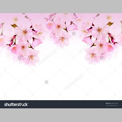 روانشناس در اسلامشهر کد 10441 سایز 38893 در 7019