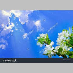 روانشناس در اسلامشهر کد 10464 سایز 85934 در 6908