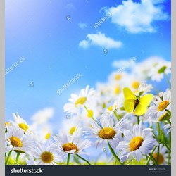 روانشناس در اسلامشهر کد 10503 سایز 88110 در 4465