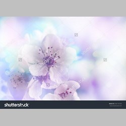 روانشناس در اسلامشهر کد 10739 سایز 65371 در 9352