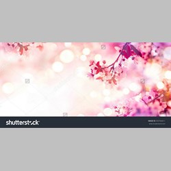 روانشناس در اسلامشهر کد 11383 سایز 66025 در 9330