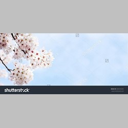 روانشناس در اسلامشهر کد 11446 سایز 85049 در 5187