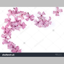 روانشناس در اسلامشهر کد 12087 سایز 49025 در 1852