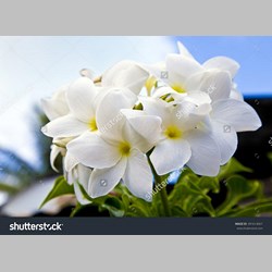 روانشناس در اسلامشهر کد 12361 سایز 39235 در 2758
