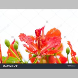 روانشناس در اسلامشهر کد 12505 سایز 41206 در 2966