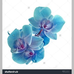روانشناس در اسلامشهر کد 12895 سایز 46655 در 3410