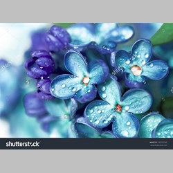 روانشناس در اسلامشهر کد 12978 سایز 47973 در 3526