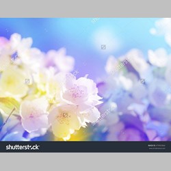 روانشناس در اسلامشهر کد 13051 سایز 48428 در 3630
