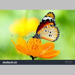 روانشناس در اسلامشهر کد 13217 سایز 50167 در 3870