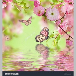 روانشناس در اسلامشهر کد 13428 سایز 53210 در 4265