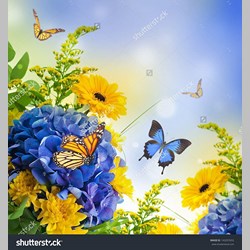 روانشناس در اسلامشهر کد 13516 سایز 54170 در 4523