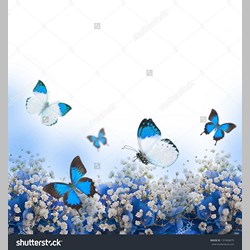 روانشناس در اسلامشهر کد 13697 سایز 56880 در 5175