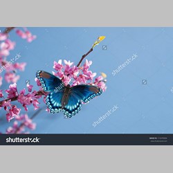 روانشناس در اسلامشهر کد 13784 سایز 57336 در 5595