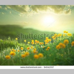 روانشناس در اسلامشهر کد 13836 سایز 58240 در 5799