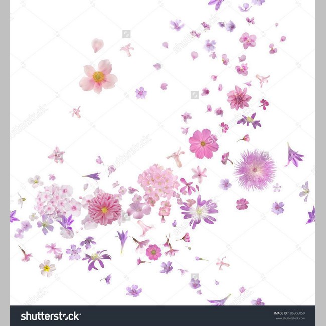 روانشناس در اسلامشهر کد 9578