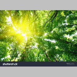 مشاور خانواده در اسلامشهر کد 61924 سایز 154167 در 85626