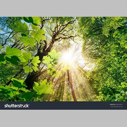 مشاور خانواده در اسلامشهر کد 73077 سایز 174456 در 105102